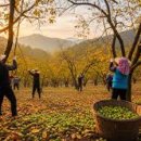 상두농장 이미지