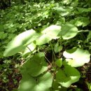 보물세상 이미지