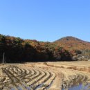 복탄2구 경로당 이미지