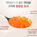필렉스 이미지