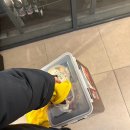 굽네치킨(미아점) | 유러피안샐러드 내돈내산 1kg 구매 후기, 카카오톡딜 유필립의 유러피안채소정원 (링크O)