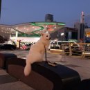 맥도날드 울산SK점 이미지