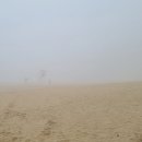 대방참빛할인마트 이미지