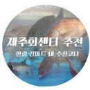 킹마트 이미지