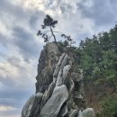 해파랑길25코스 이미지