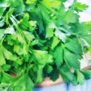 메디칼허브헬스케어 이미지