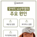 인동동물병원 이미지