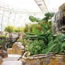 생태와 기후변화이야기 | [여행] 뻔한 나들이는 그만! 담양 개구리생태공원, 아이가 감탄하는 특별한 발견