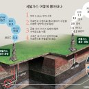 세일가스 이미지
