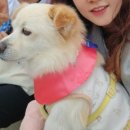 창렬농장 이미지