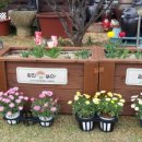 언덕배기 해오름집 이미지