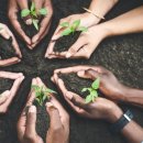 농업회사 토지인 이미지