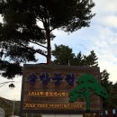 솔향공원 스카이바이크 시설 이미지