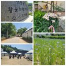 황순원문학촌 소나기 마을 후기