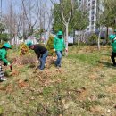 (주)나무그룹 이미지