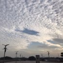 2022 K리그1 서울vs성남 이미지