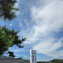 마니산 산채 | [강화도 맛집] '진짜' 산채비빔밥, "마니산 산채" 내돈내산 후기