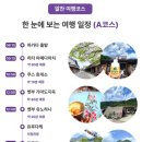 EG투어버스 A코스 | 하카타 출발 유후인 하차 히타 벳푸 유후다케 유유버스투어 A코스 내돈내산 후기 할인코드까지!