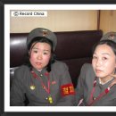 돼지우리 이미지