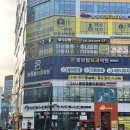 24시 봉담동물의료센터 | 웰시코기 십자인대 파열 수술(TPLO) 후기 / 24시 봉담동물의료센터