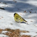 포천머리방 이미지