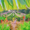 느링느링스테이 이미지