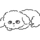 대명관 이미지