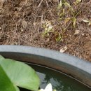 곰솔농장 이미지