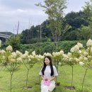 ICHEON192 네이버블로그