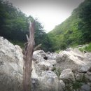 마당골 Daum카페