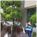 잠신중학교 이미지