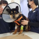 부은농장 이미지