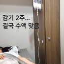미금동안마녀의원 | 감기 2주 결국 수액 맞음… 미금역 다건강한내과 후기