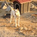 죽계마을회관 이미지