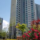 이미자 공인중개사사무소 이미지