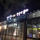 막창1981
