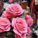 여성문화복지센터 이미지