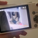 사쿠라재팬 직구 후기, 배송기간, 빈티지카메라, 올림푸스VG-170,디카