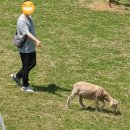 기주목장 이미지