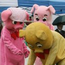 돼지야놀자 이미지