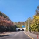 다전초 앞 도로 네이버블로그