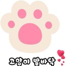 오월의케이크