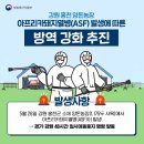 농림축산식품부 강원 홍천 양돈농장 아프리카돼지열병(ASF) 발생에 따른 방역 강화 추진 이미지