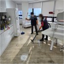 사무실정기청소이화케어 | 회사 사무실 정기청소 3개월 후기, 케어원 위생관리 케어 서비스