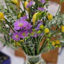 에클레시아 필라테스 이미지