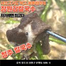 청주칼국수 | 청주 칼국수 장원갑칼국수 내돈내산 후기
