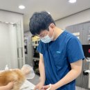 동원동물병원 | 쌍문역동물병원 고양이 지방간증 밥을 안 먹는 시간이 길어질수록 위험해집니다.