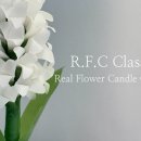 (원데이)히아시스 플라워 캔들 이미지