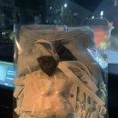 샵펫 강아지분양 울산점 이미지