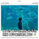 오션 아레나 | 아기랑 국내여행 | 제주 아쿠아플라넷 | 오션아레나 공연 후기